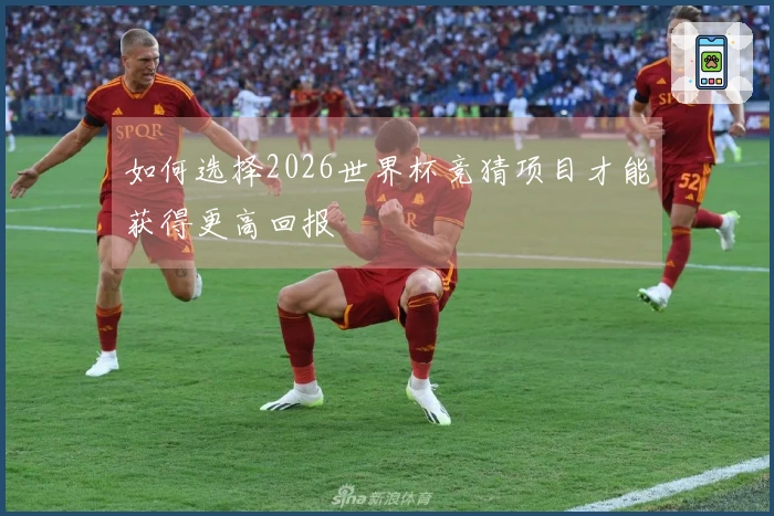 如何选择2026世界杯竞猜项目才能获得更高回报
