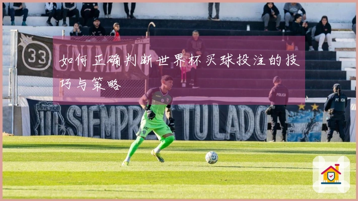 如何正确判断世界杯买球投注的技巧与策略