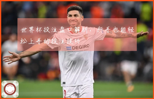 世界杯投注盘口解析，新手也能轻松上手的投注技巧