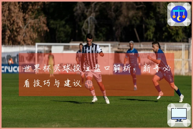 世界杯买球投注盘口解析，新手必看技巧与建议