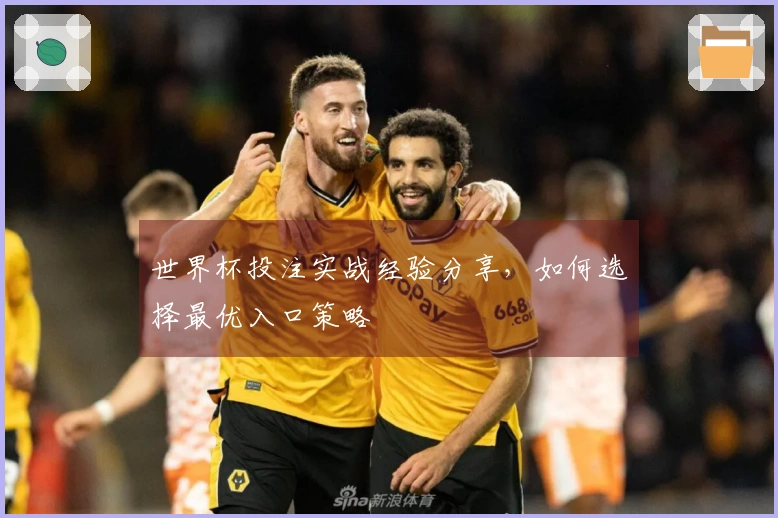 世界杯投注实战经验分享，如何选择最优入口策略