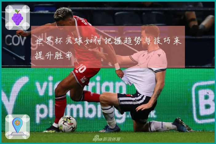 世界杯买球如何把握趋势与技巧来提升胜率