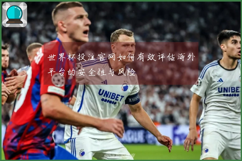 世界杯投注官网如何有效评估海外平台的安全性与风险