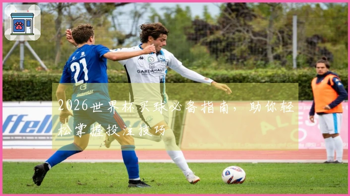 2026世界杯买球必备指南，助你轻松掌握投注技巧