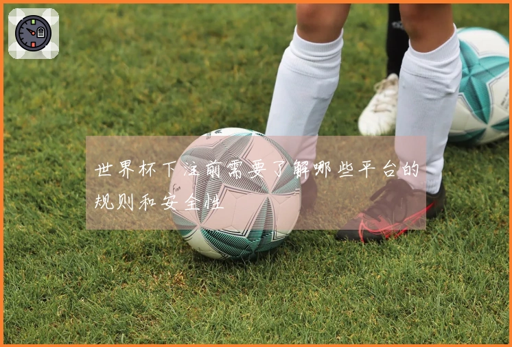 世界杯下注前需要了解哪些平台的规则和安全性