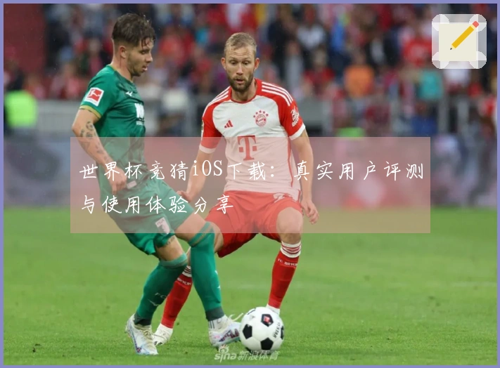 世界杯竞猜iOS下载：真实用户评测与使用体验分享