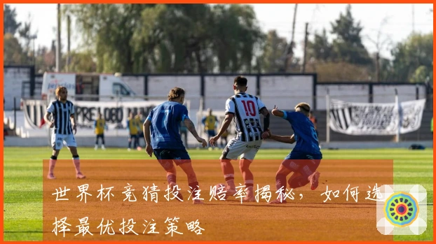 世界杯竞猜投注赔率揭秘，如何选择最优投注策略