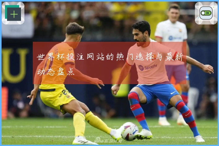 世界杯投注网站的热门选择与最新动态盘点