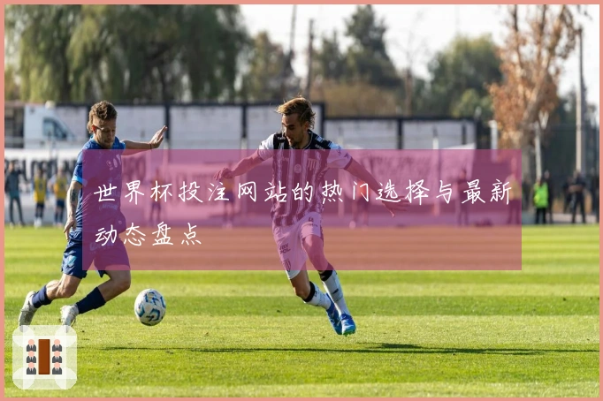 世界杯投注网站的热门选择与最新动态盘点