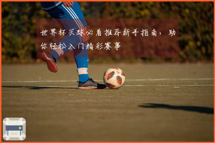 世界杯买球必看推荐新手指南，助你轻松入门精彩赛事