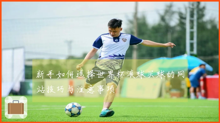 新手如何选择世界杯滚球买球的网站技巧与注意事项