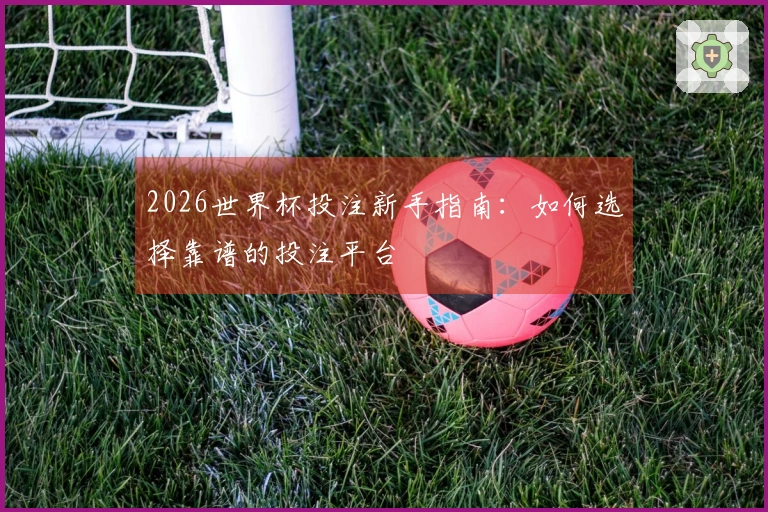 2026世界杯投注新手指南：如何选择靠谱的投注平台
