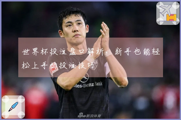 世界杯投注盘口解析，新手也能轻松上手的投注技巧