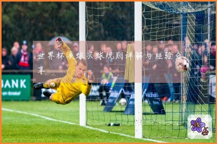 世界杯滚球买球规则详解与经验分享