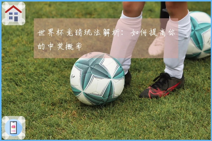 世界杯竞猜玩法解析：如何提高你的中奖概率