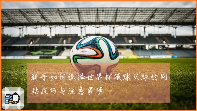 新手如何选择世界杯滚球买球的网站技巧与注意事项