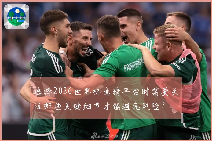 选择2026世界杯竞猜平台时需要关注哪些关键细节才能避免风险？