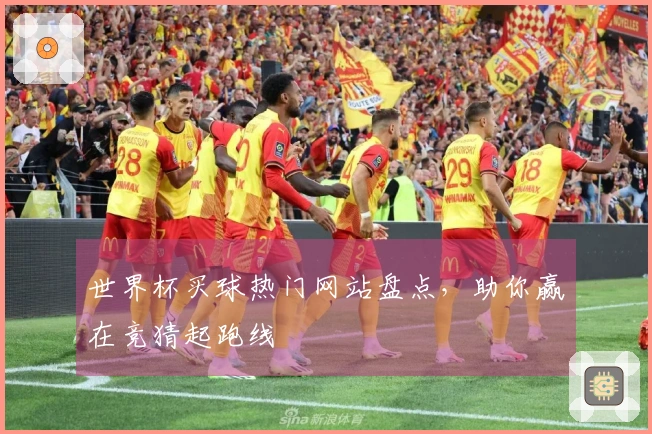 世界杯买球热门网站盘点，助你赢在竞猜起跑线