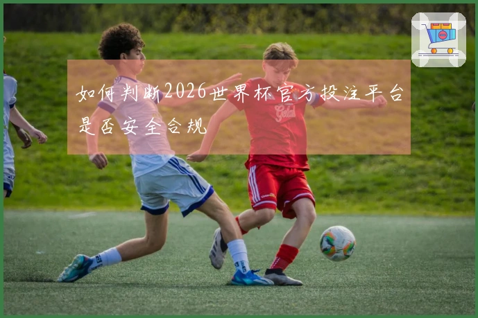 如何判断2026世界杯官方投注平台是否安全合规