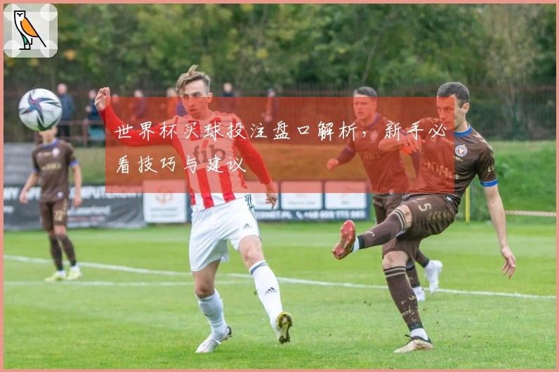 世界杯买球投注盘口解析，新手必看技巧与建议