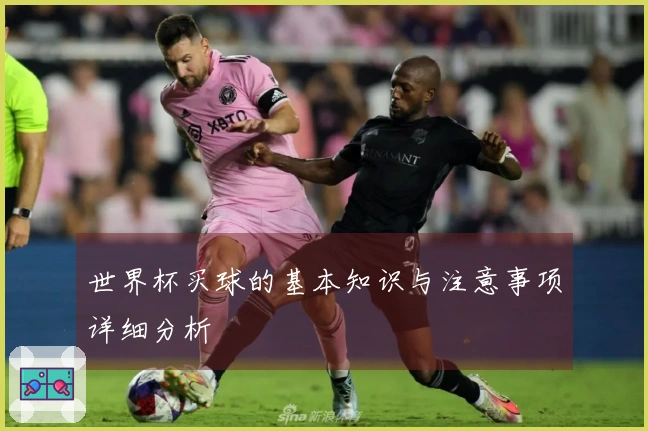 世界杯买球的基本知识与注意事项详细分析