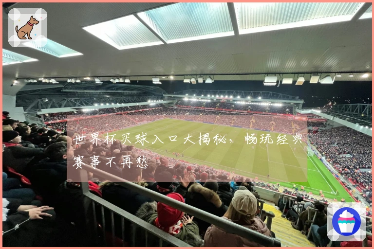 世界杯买球入口大揭秘，畅玩经典赛事不再愁